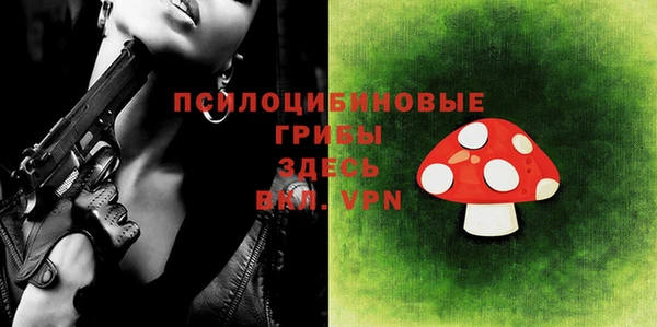 дмт Балахна